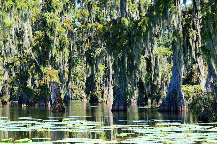 Lac Martin - Lousiane - Etats-Unis © sjlayne/Getty Images/iStockphoto