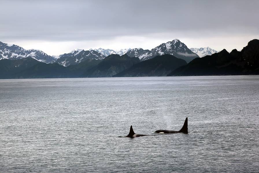 Parc national de Kenai Fjords - Alaska - Etats-Unis © Alexander/Fotolia