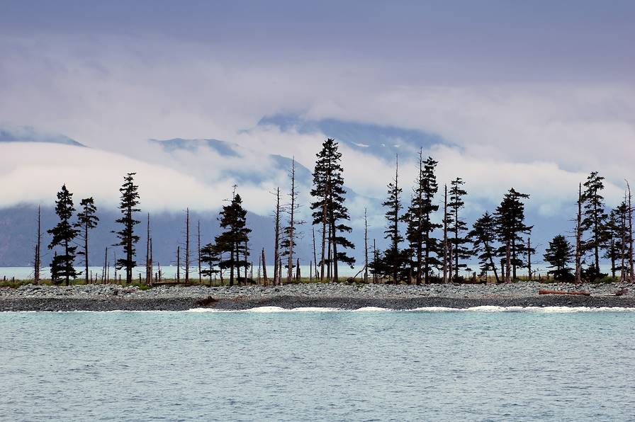 Parc national de Kenai Fjords - Alaska - Etats-Unis © Veronica Bogaerts/Getty Images/iStockphoto