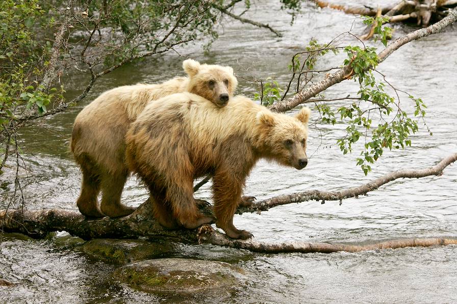 Alaska - Etats-Unis © Oksana Perkins/Getty Images/iStockphoto