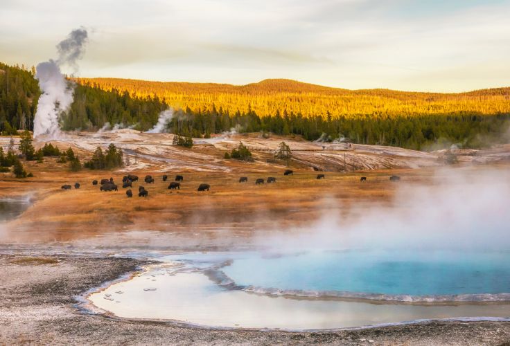 voyage yellowstone pas cher