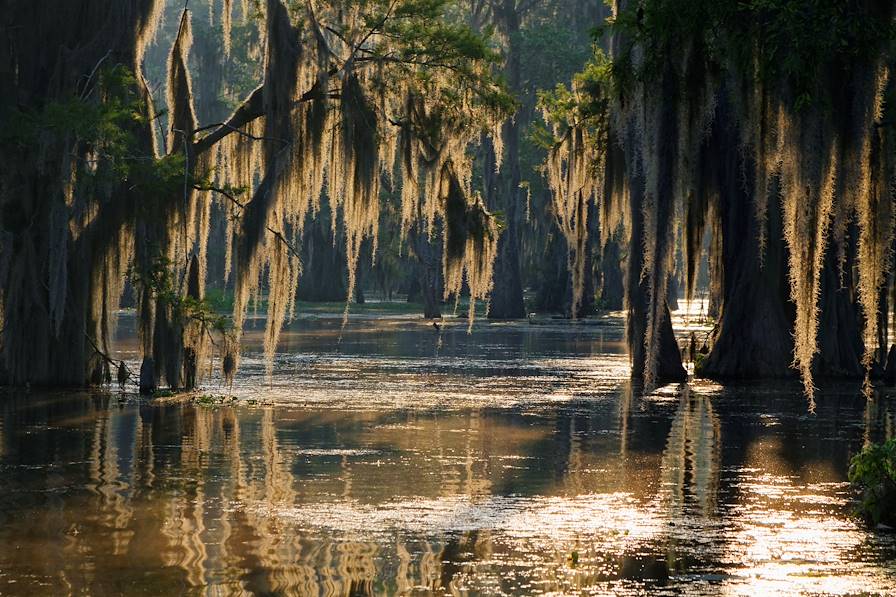 Fleuve Mississippi - Etats-Unis © Pierre-Jean DURIEU - stock.adobe.com