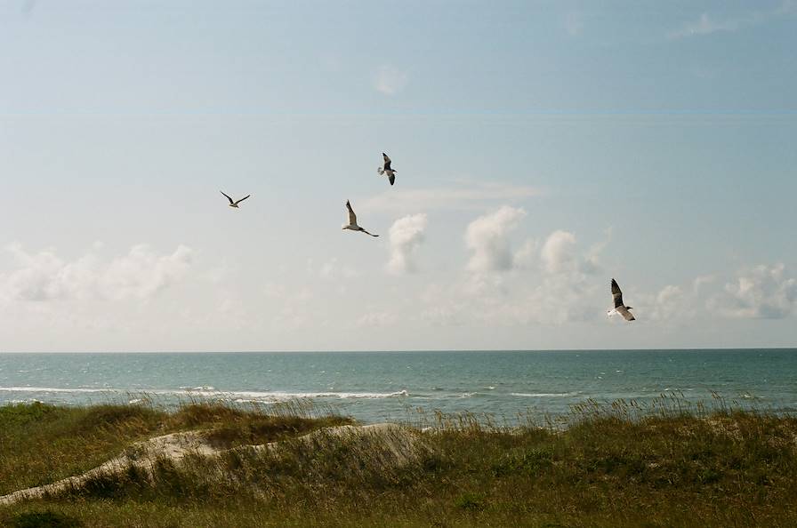 Ile Hatteras - Caroline du Nord - Etats-Unis © Raymond Kotewicz