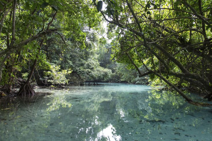 Trou Tleu - Espiritu Santo - Vanuatu © Frizi/Getty Images/iStockphoto