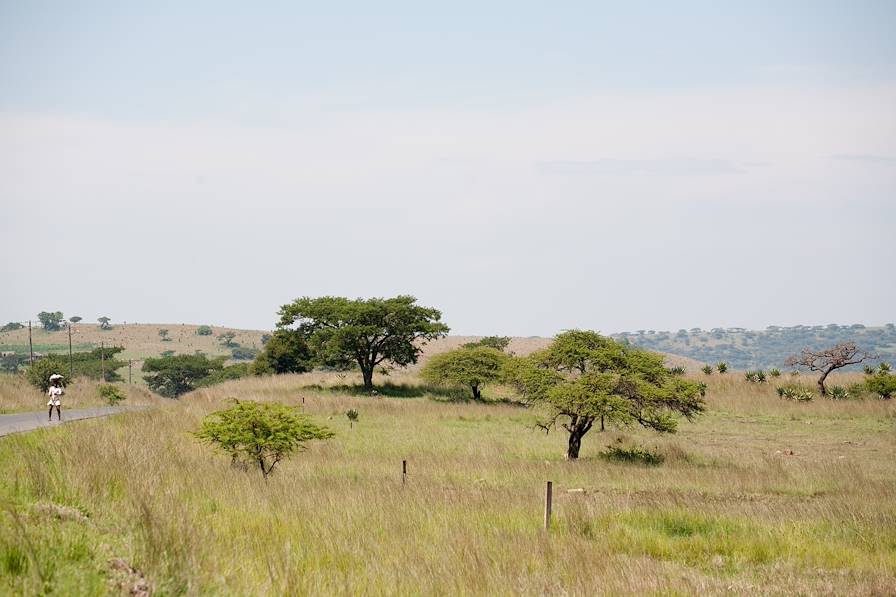 Zululand - Afrique du Sud © Marion Osmont