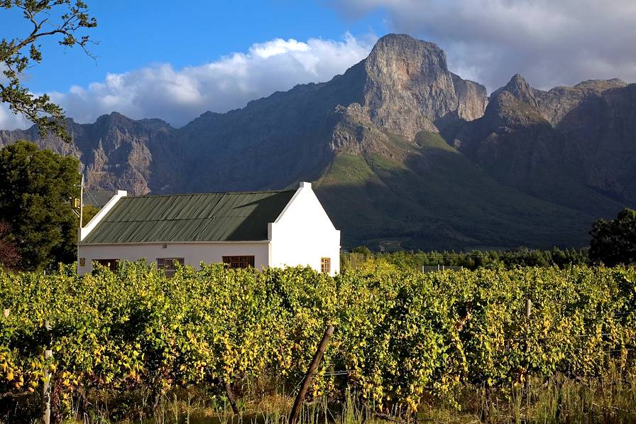 Région du Cap Occidental - Afrique du Sud © Andreas Edelmann/Fotolia