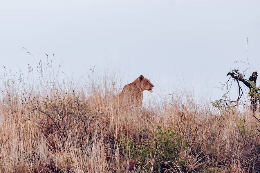 Afrique du Sud © Olivier Romano