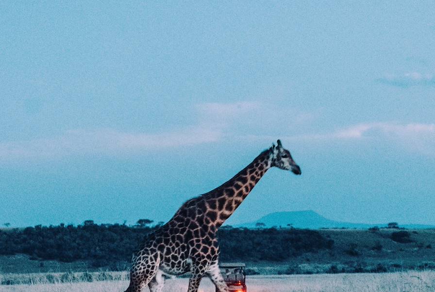 Afrique du Sud © Olivier Romano