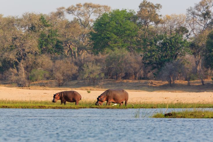 Lower Zambezi National Park - Zambie © Radek/stock.adobe.com