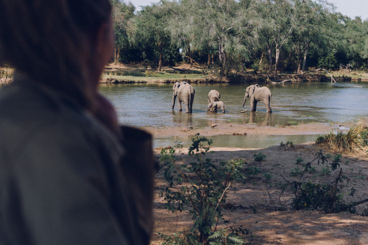 Lower Zambezi National Park - Zambie © Droits reservés