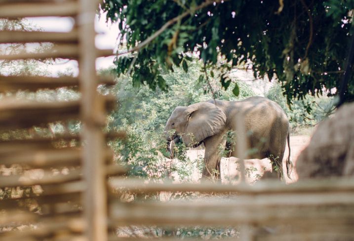 Lower Zambezi National Park - Zambie © Droits reservés