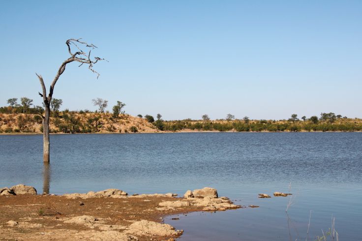 Parc national Hwange - Province du Matabeleland Nord - Zimbabwe © David Brunet