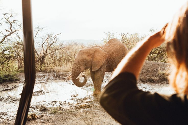 Zimbabwe © Olivier Romano