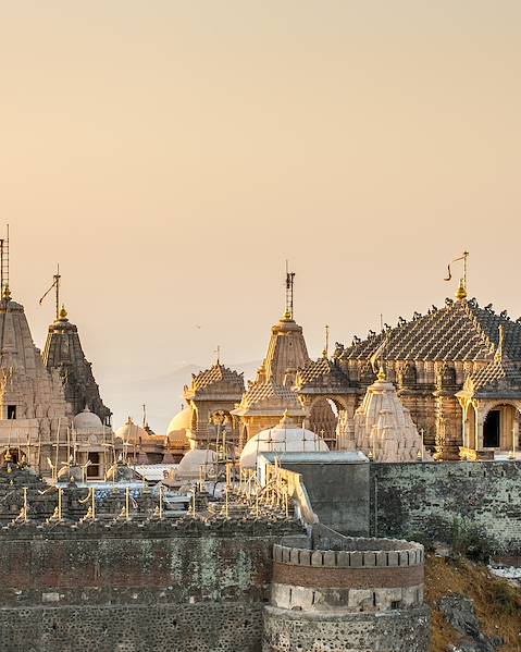 Voyages itinérants Inde - Gujarat - Ahmedabad - Palitana - Saurashtra