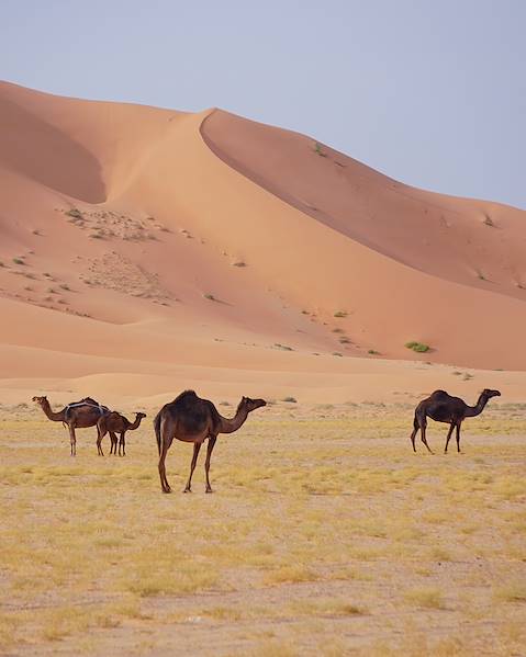 Voyages itinérants Oman - Mascate - Désert de Wahiba