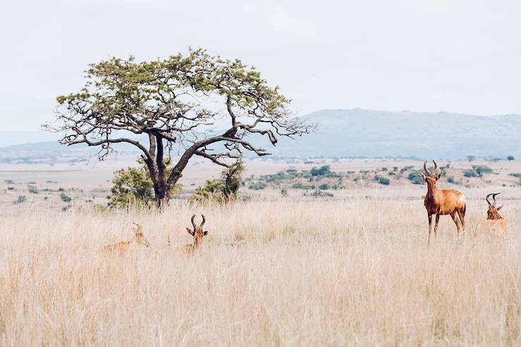  culturel et naturel en Afrique du Sud ...