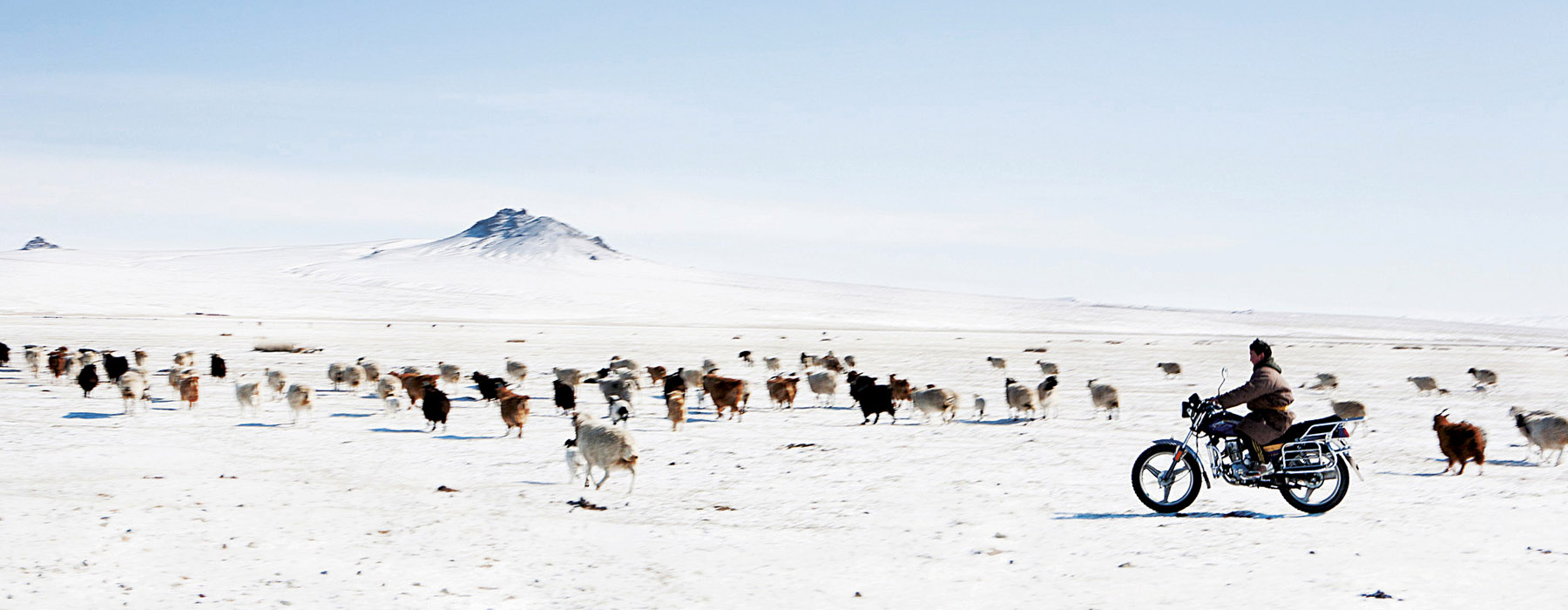 Les itinérants classiques Mongolie