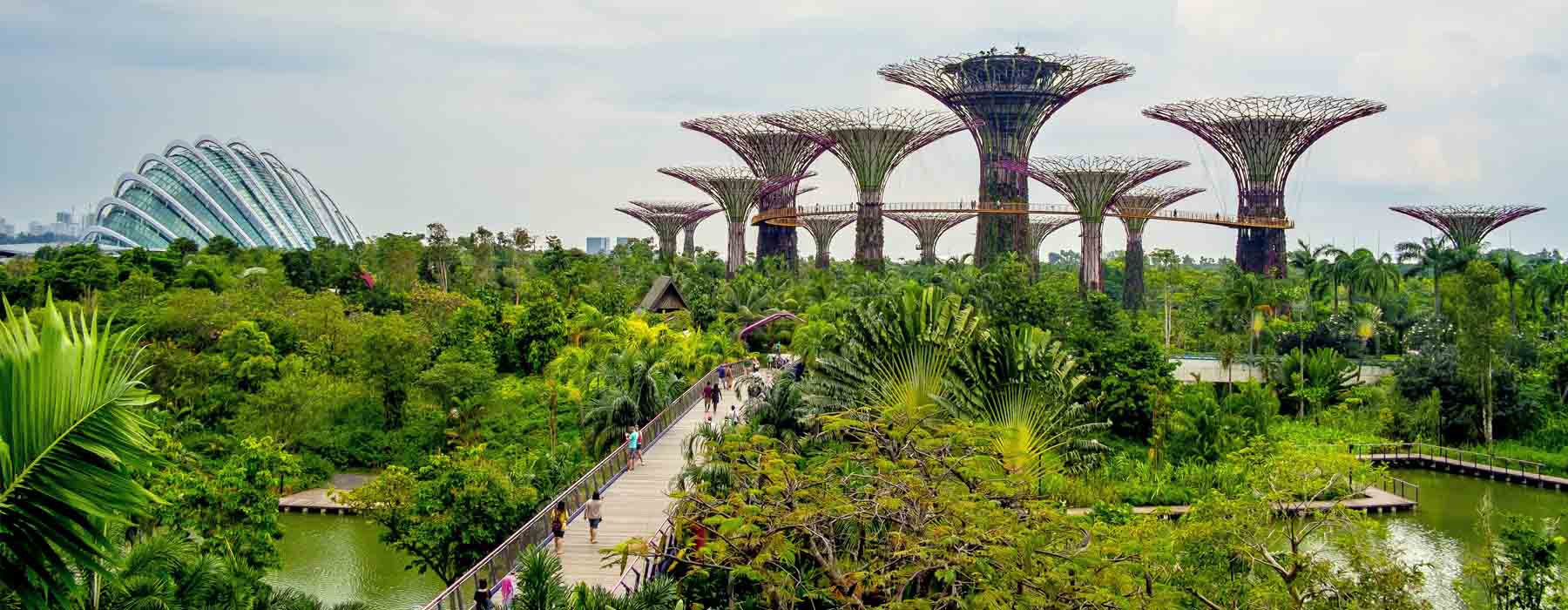 Nature et art de vivre Singapour