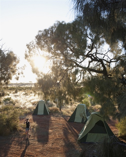Amis qui font du camping en Australie