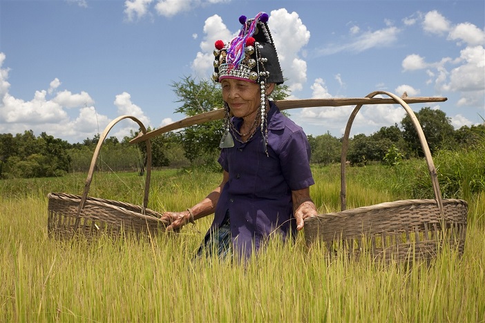 agriculteur thaïlandais