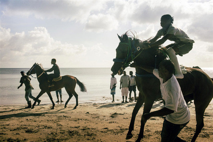 chevaux sur une plage de Colombie