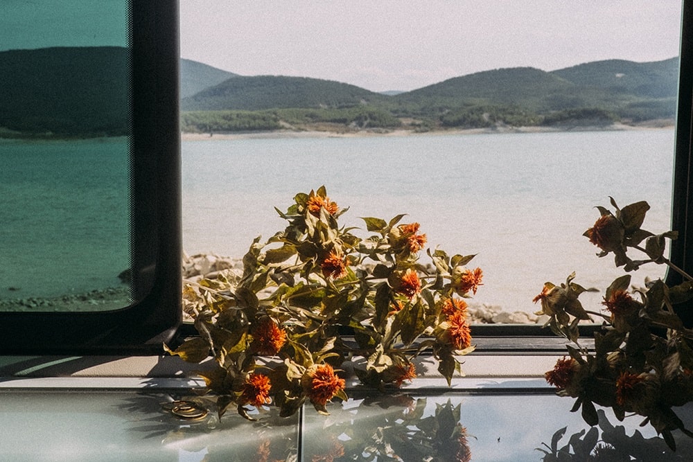 Bouquet de fleurs sur un rebord de fenêtre en Nouvelle-Zélande