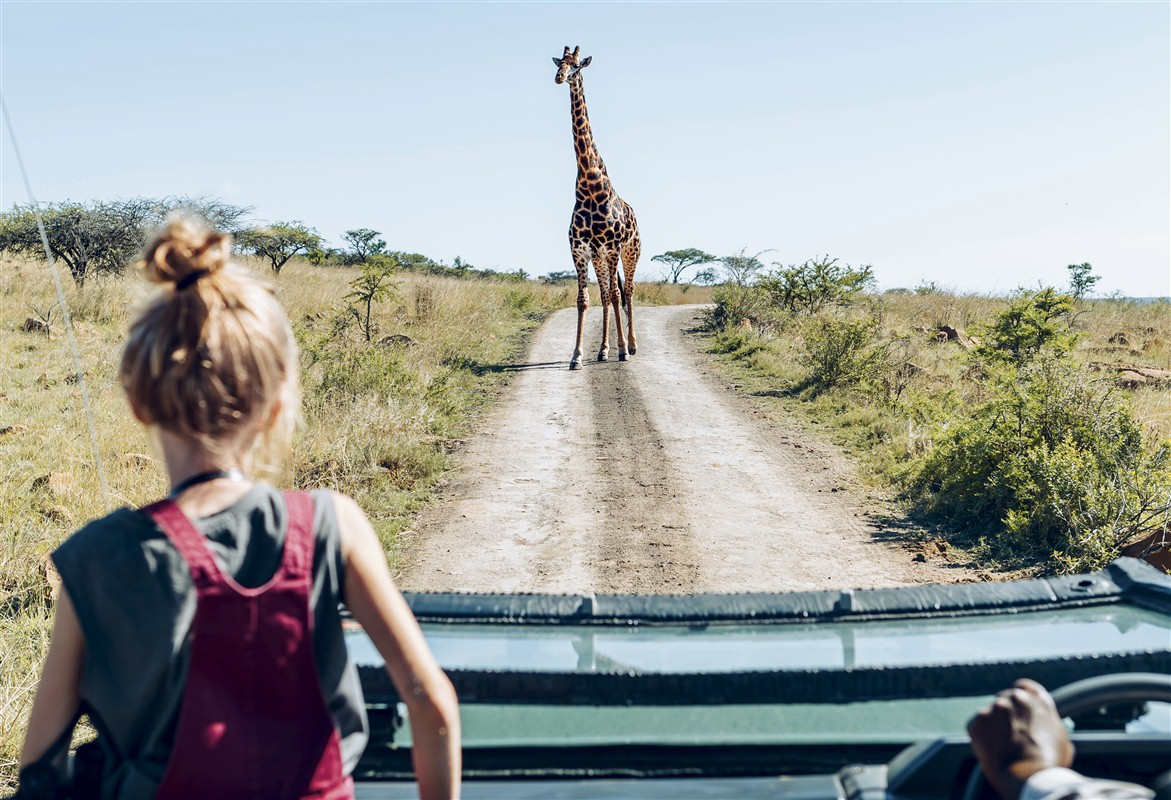 Girafe en Tanzanie