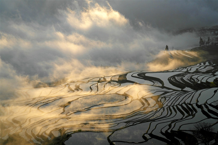 les rizieres en terrasse de yuanyang