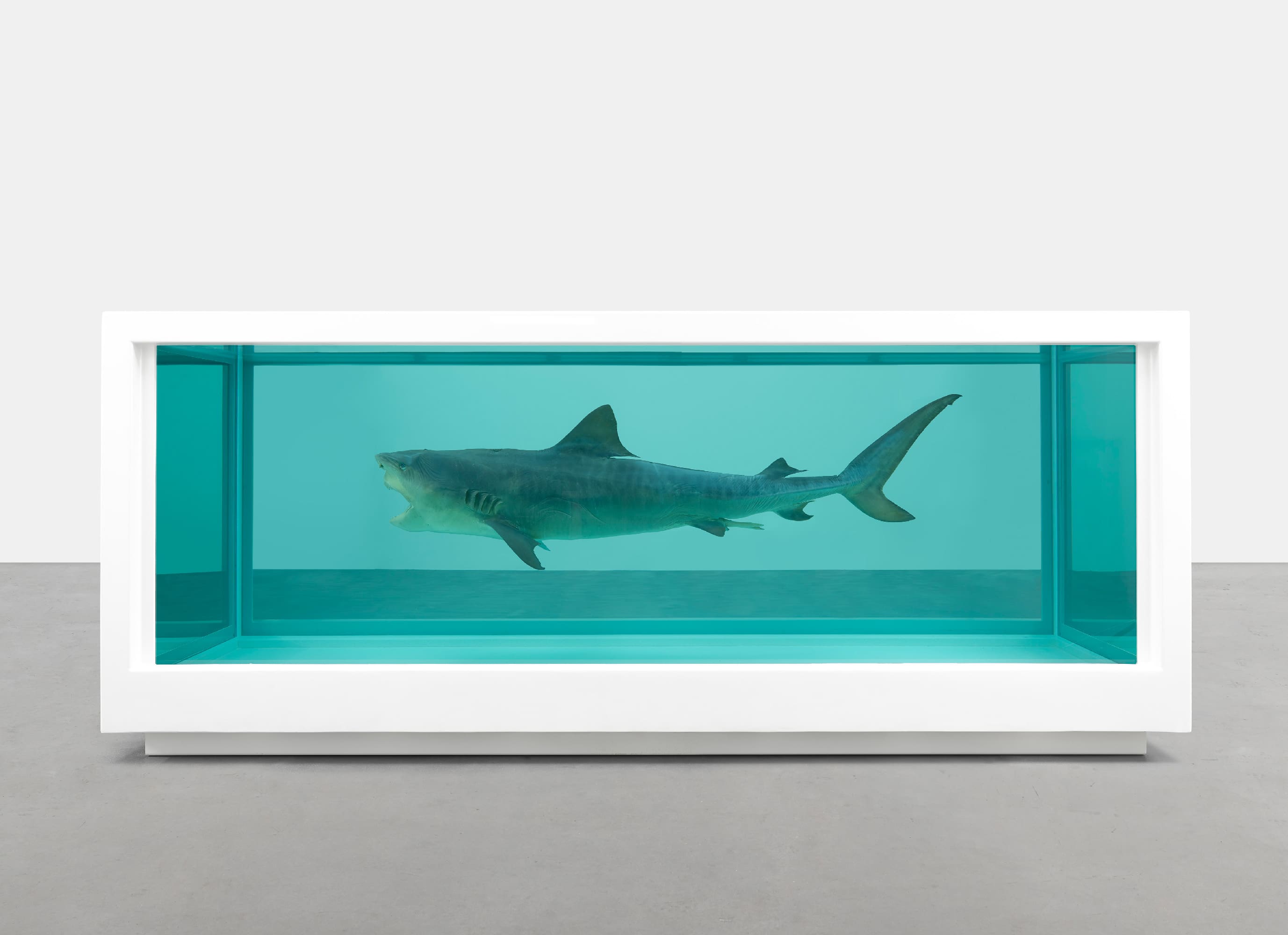 oeuvre-majeure-de-damien-hirst