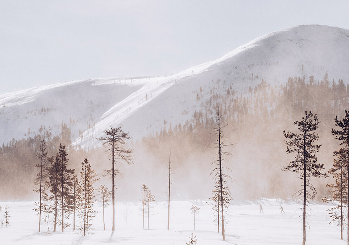paysage de Laponie avec de la neige et des arbres