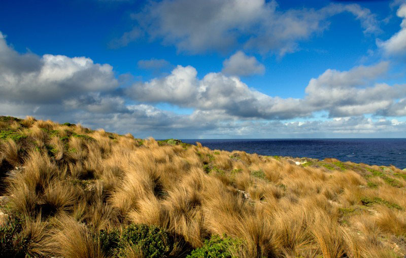 paysage de Kangaroo Island