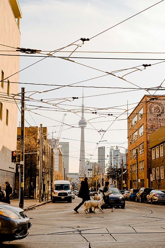 Vision de la CN Tower depuis une rue dans Toronto
