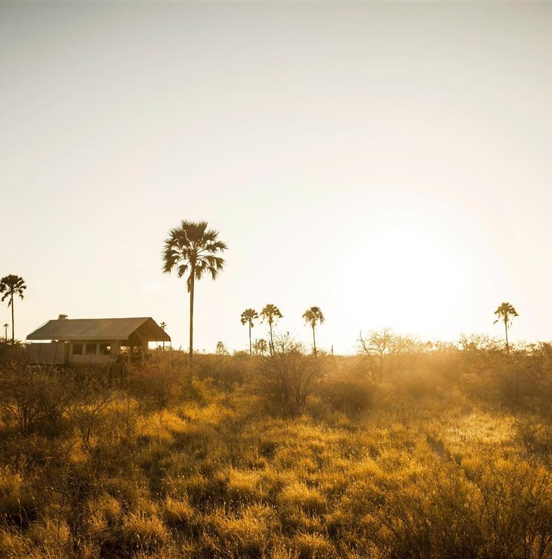 A vivre au Botswana et nulle part ailleurs.