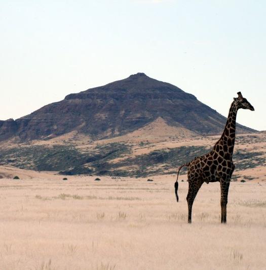 A vivre en Namibie avant qu'il ne soit trop tard