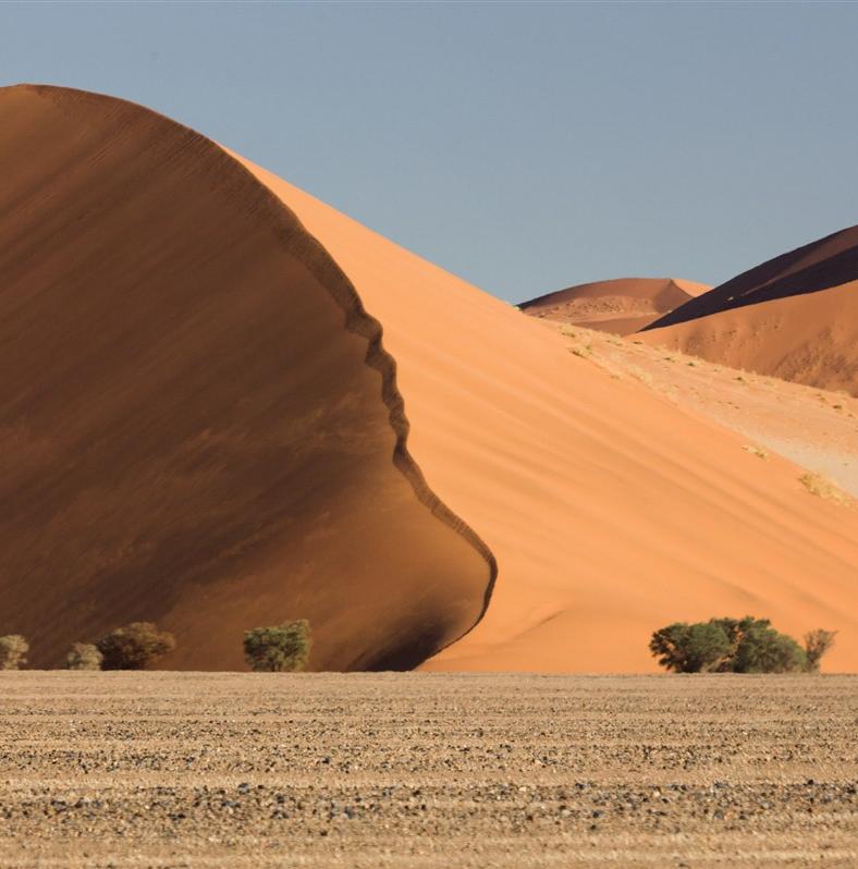 A vivre en Namibie et nulle part ailleurs