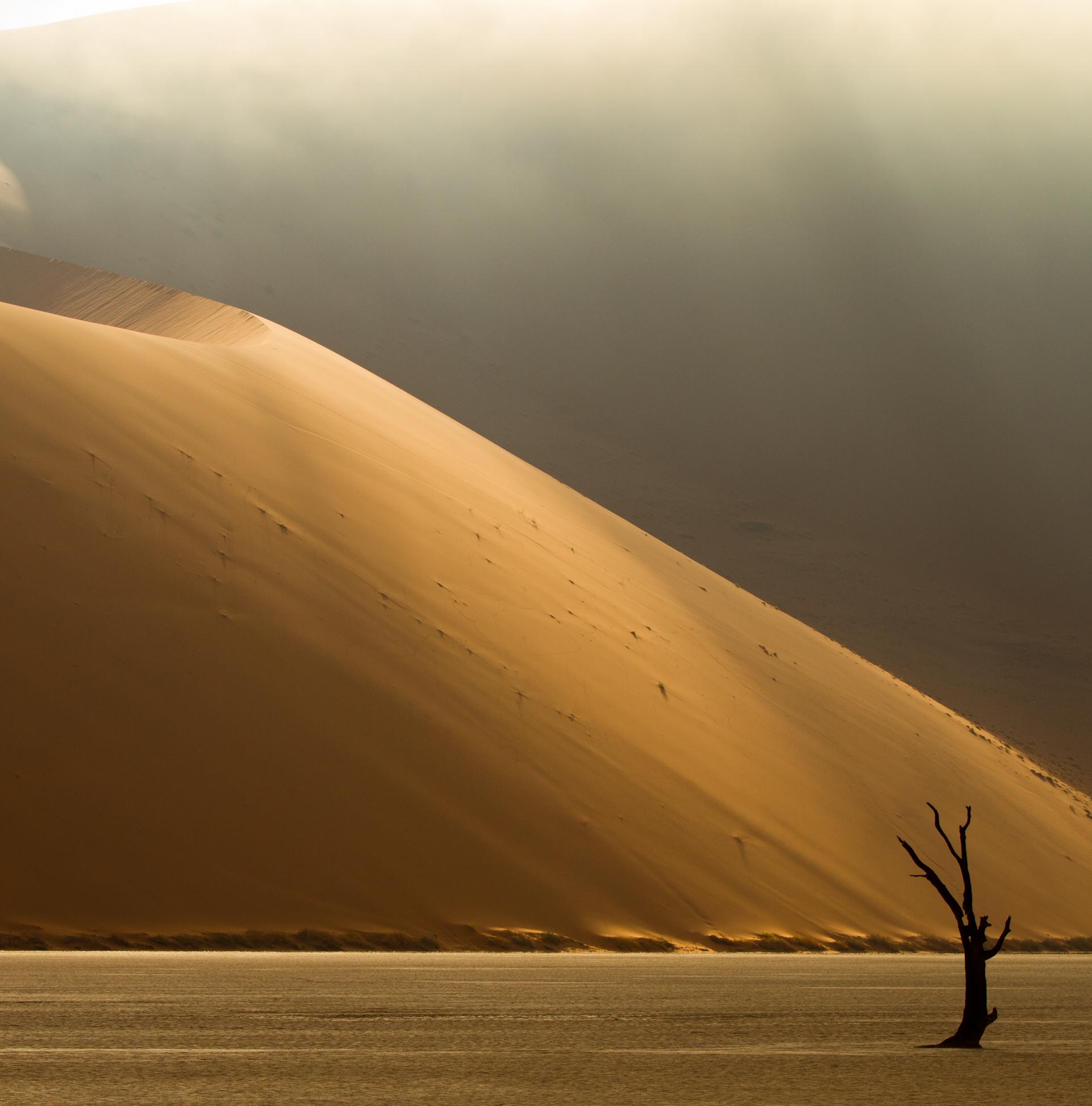 Les paysages irréels de Namibie