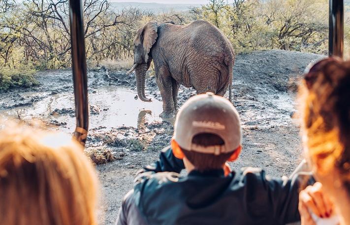 Safari Family en Afrique du Sud